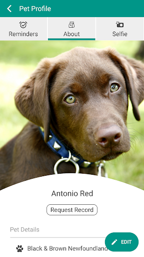 Animal Ark Veterinary Hospital screenshot 3