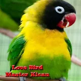 Love Bird Master Kicau icon