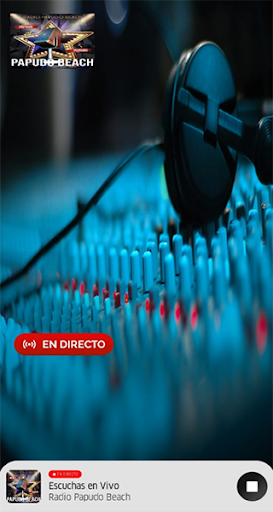 RADIO PAPUDO BEACH Screen 2