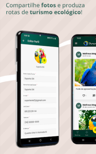 Arara Ecos Screen 2
