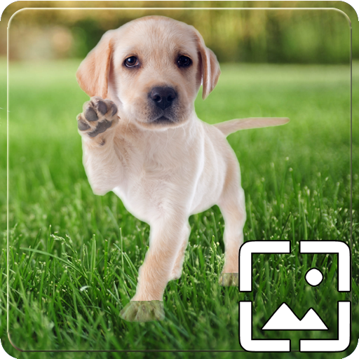 Cute Puppy Dog Wallpapers Hd logo