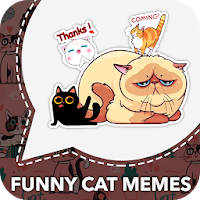 Funny Cat Memes Sticker For WhatsApp Kitten Memes