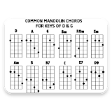 Beginner Mandolin Chord icon