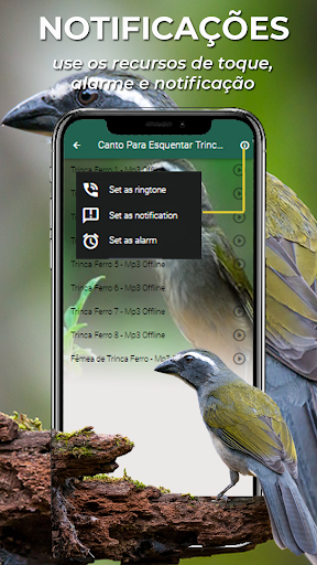 Canto Esquentar Trinca Ferro Screen 2