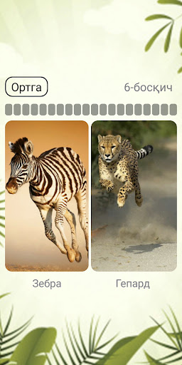 Android application Bilimdon IQ screenshort