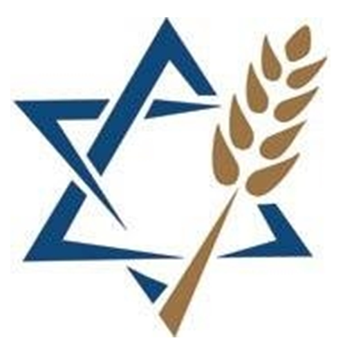 Jewish Voice logo