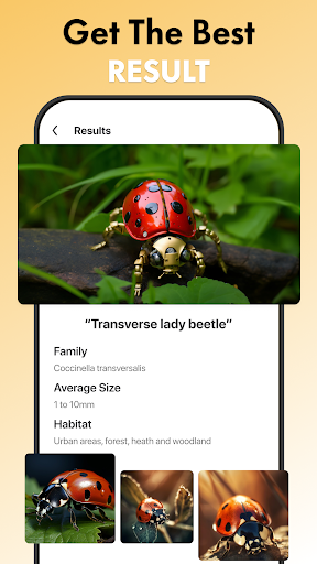 Bug Finder- AI Bug Identifier screenshot 14