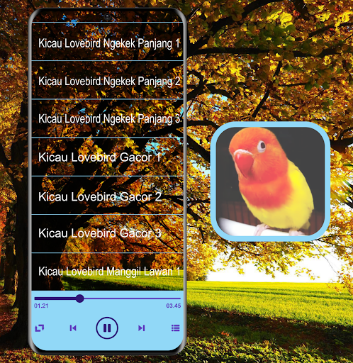 Android application Masteran Kicau Burung LoveBird screenshort