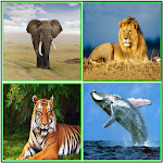 Cover Image of Download Animal Sounds  APK