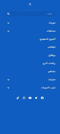 ديلي سبورت عربي - Daily Sport Screen 2