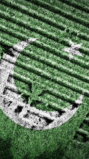 Pakistan flag Screen 3