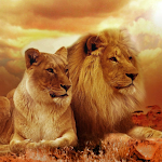 Cover Image of Télécharger Wild Africa animals themes  APK