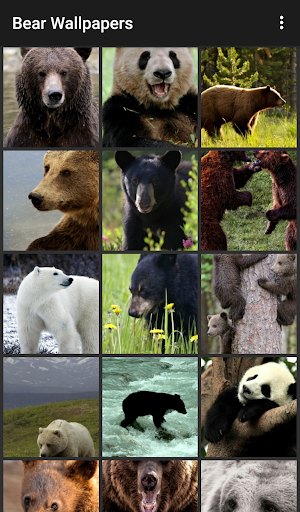 Android application Bear Wallpapers screenshort
