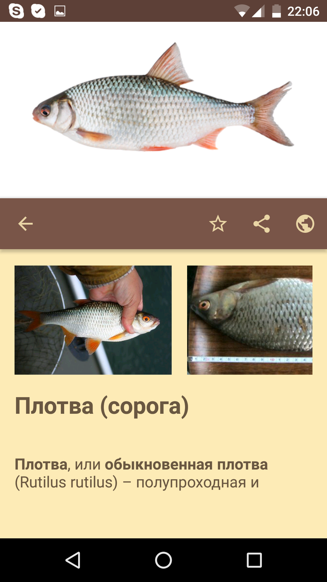 Android application Guide angler screenshort