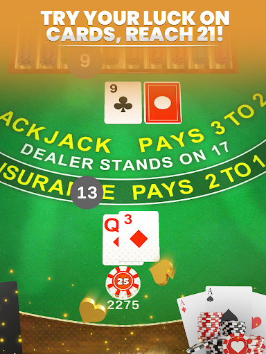 Mega Blackjack - 3D Casino 13