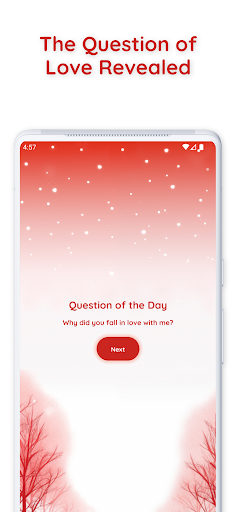 Advent Calendar for Couples Screen 3