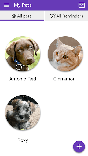 Village Animal Clinic Screen 3