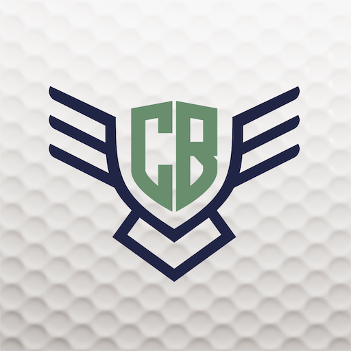 Chasing Birdies logo