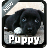 Puppy Theme Keyboard icon