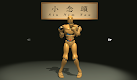 screenshot of VR Wing Chun Trainer