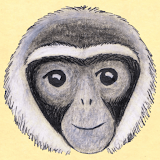 Little Gibbon icon