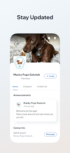 Mucky Pupz Gatwick Screen 2