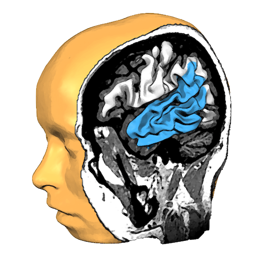 Brain Tutor 3D logo