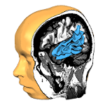 Cover Image of Télécharger Cerveau Tuteur 3D  APK