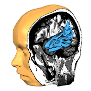 Brain Tutor 3D