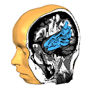 Brain Tutor 3D 