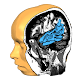 Brain Tutor 3D Laai af op Windows