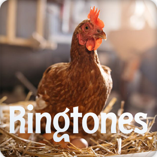 Chicken Sound Ringtones