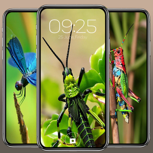 Insect Wallpaper Download on Windows