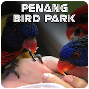Penang Bird Park Tour and Ticket