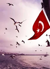 Die Turkei Flagge Hintergrundbilder Apps Bei Google Play