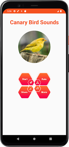 Canary Bird Sounds Screen 2