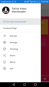 Tik Tok video downloader