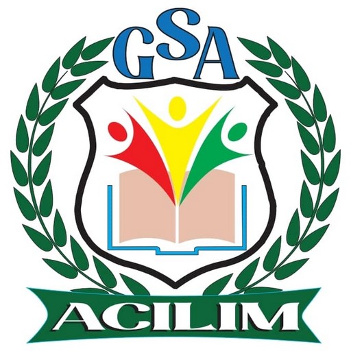 GS Acilim 1.1 logo
