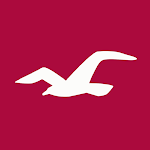 Cover Image of Download Hollister Co.  APK