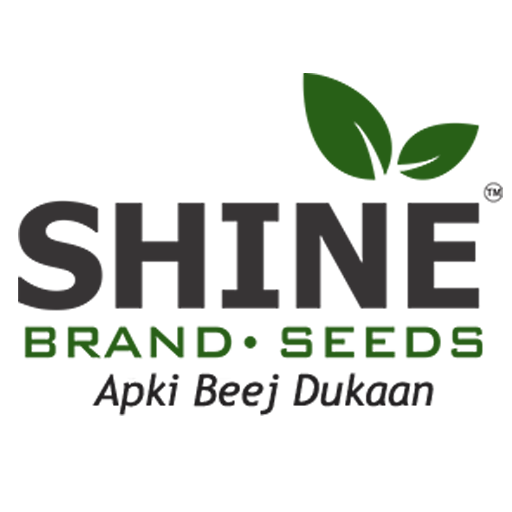 Shine Brand Seeds: Agriculture  Icon