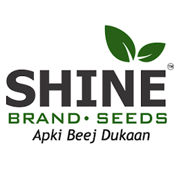 Shine Brand Seeds 