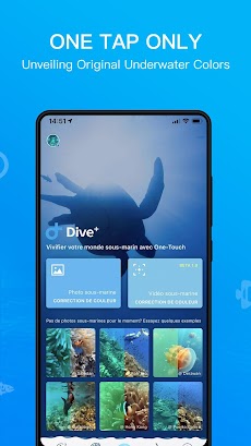 Dive+ : グローバルダイビングコミュニティのおすすめ画像3