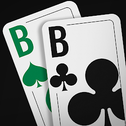 Skat Online от Playvision Mod Apk