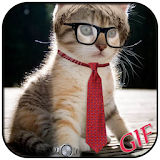 GIF Funny Collection icon