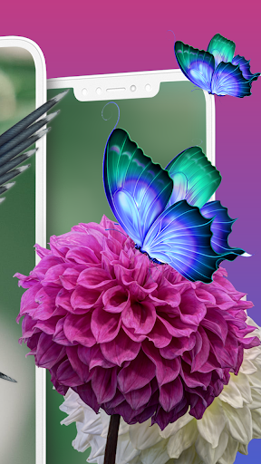 Animal Wallpaper Lively HD 4K