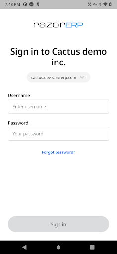 RAZOR ERP Screen 3