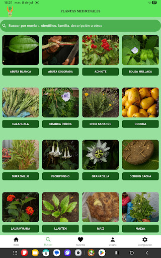 Plantas Medicinales