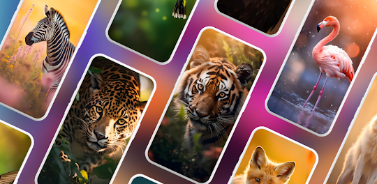 Wild Animal Wallpapers Offline