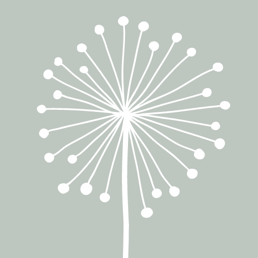 DandyLight - Photography App Descarga en Windows
