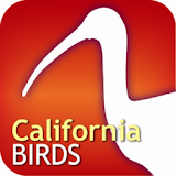 Audubon Bird Guide: California icon